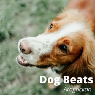 Dog Beats