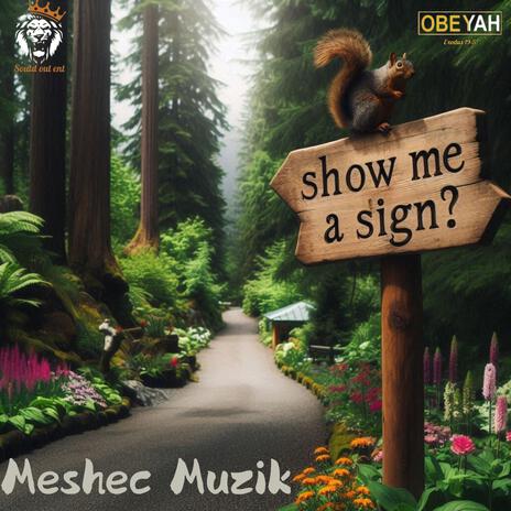 Show me a sign | Boomplay Music