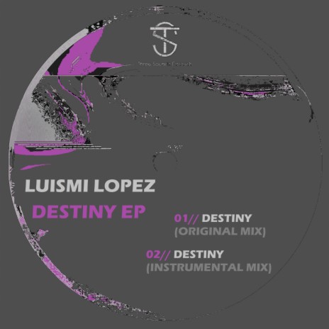 Destiny (Instrumental Mix) | Boomplay Music