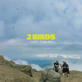 2 Birds