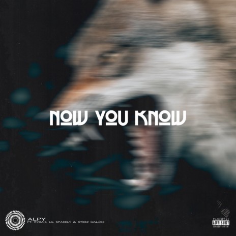 Now You Know ft. Rydah, Lil Spacely & Steez Malase | Boomplay Music