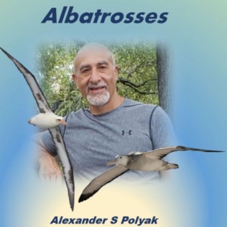 Albatrosses