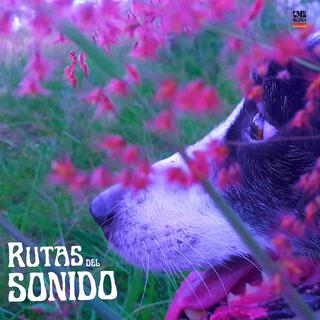 Rutas del Sonido