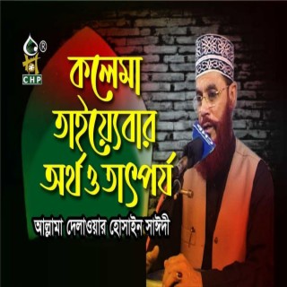 কালেমা তাইয়্যেবার অর্থ ও তাৎপর্য । সাঈদী । Kalema Tayebar Ortho O Tatporjo । Sayedee ।