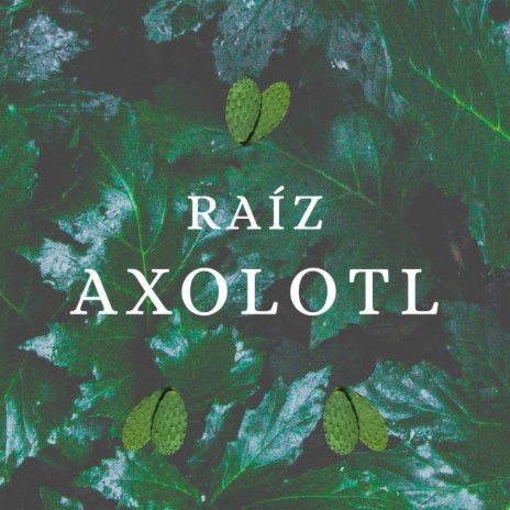 Axolotl | Boomplay Music