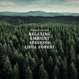 Relaxing Ambient Sessions - Chill Forest