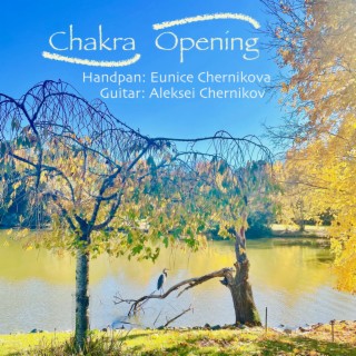 Chakra Opening