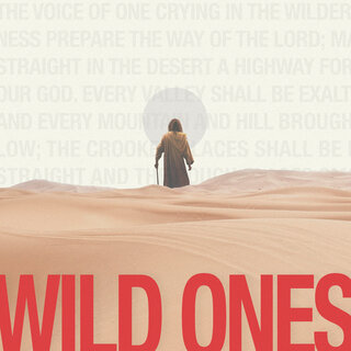 Wild Ones