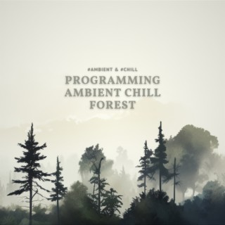 Programming Ambient Chill Forest