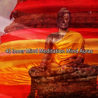 43 Inner Mind Meditation Mind Auras