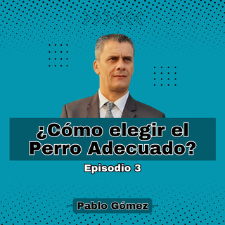 Cómo elegir el Perro Adecuado. Episodio 3