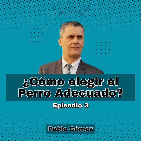 Cómo elegir el Perro Adecuado. Episodio 3