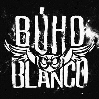 Búho Blanco