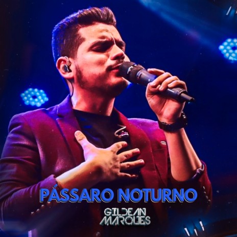 Pássaro Noturno | Boomplay Music