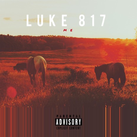 Luke 817 | Boomplay Music