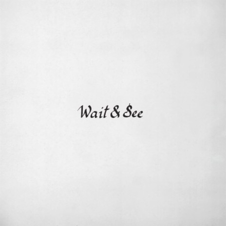 Wait & See | Boomplay Music