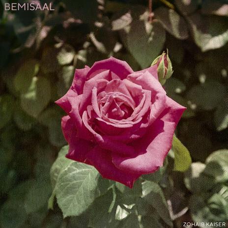 BEMISAAL | Boomplay Music