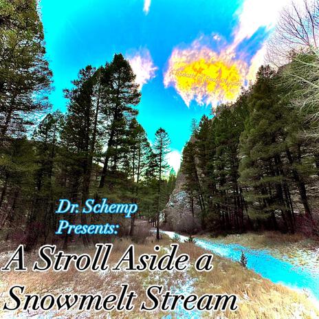 Aside a Snowmelt Stream | Boomplay Music