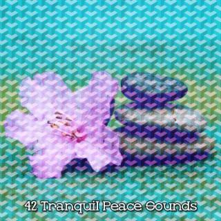 42 Tranquil Peace Sounds