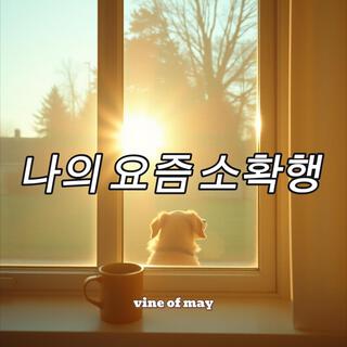 나의 요즘 소확행 (Special Version)