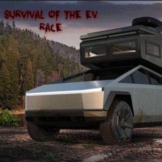 Survival of the EV Race