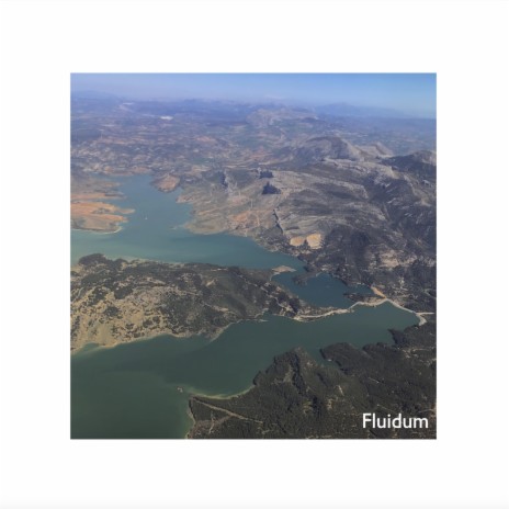 Fluidum | Boomplay Music