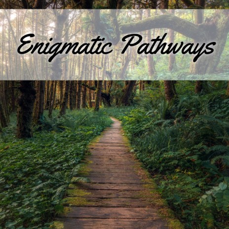 Enigmatic Pathways (Night) ft. Serenity Music Relaxation & Bringer of Zen | Boomplay Music