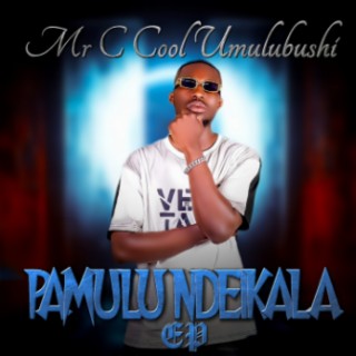 Pamulu Ndeikala EP