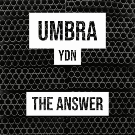 The Answer | Boomplay Music