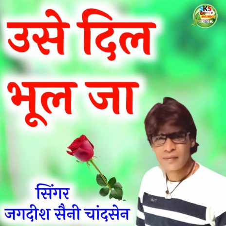 उसे दिल भूल जा | Boomplay Music