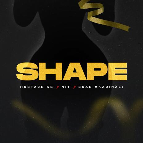 Shape ft. N.I.T_KE & Scar Mkadinali | Boomplay Music