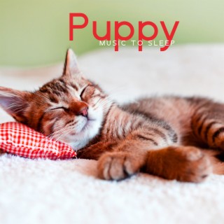 Puppy Music To Sleep – Cute Melodies For Doggy And Kitty Days