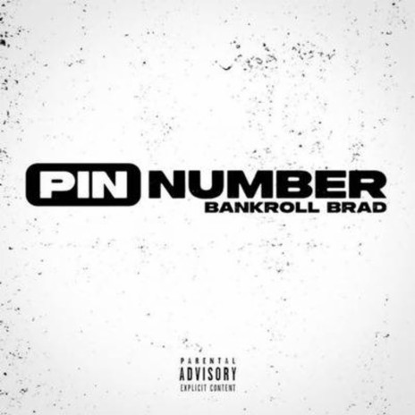 Pin Number