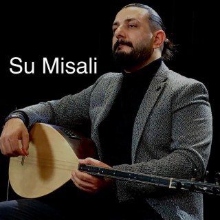 Su Misali Cover