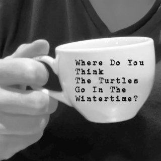 Where Do You Think The Turtles Go In The Wintertime?