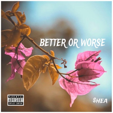 Better Or Worse | Boomplay Music