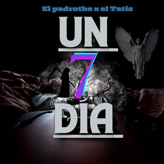 UN DIA 7