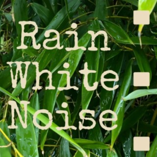Rain White Noise For Sleep, Study, Relaxation 10 Hours