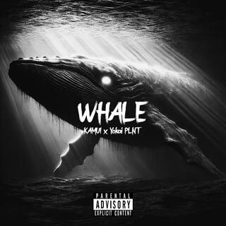 Whale