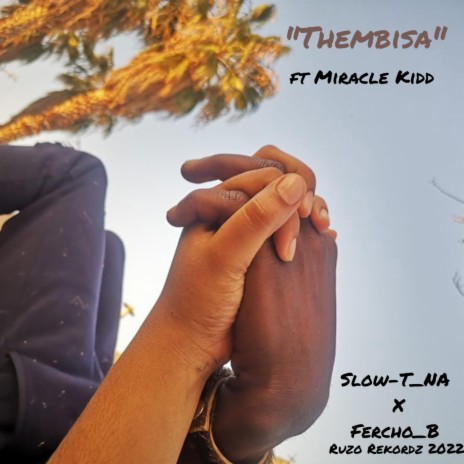 Thembisa ft. Fercho_B & Miracle Kidd | Boomplay Music