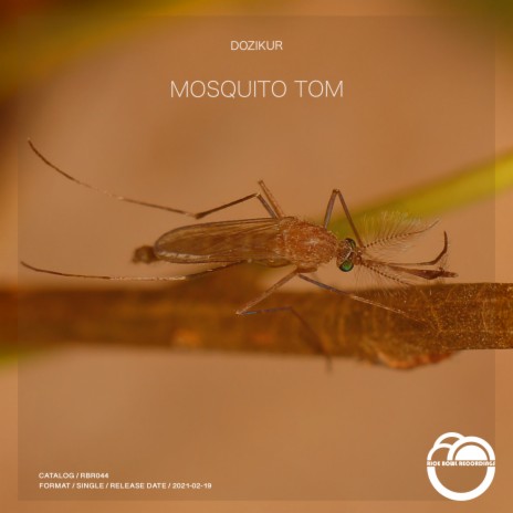 Mosquito Tom | Boomplay Music