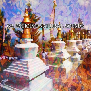 !!!! 63 Enticing Natural Sounds !!!!