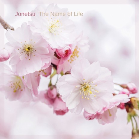 The Name of Life (From Spirited Away) | Boomplay Music