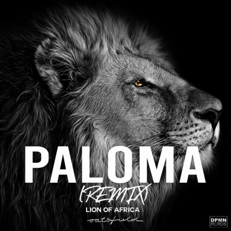 PALOMA (Remix) ft. LION OF AFRICA | Boomplay Music