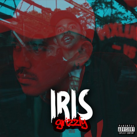 IRIS | Boomplay Music