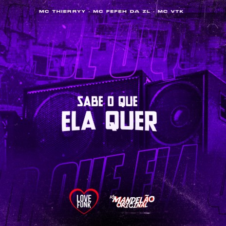 Sabe o Que Ela Quer ft. MC VTK, Mc Fefe da ZL & Mc Thierryy | Boomplay Music