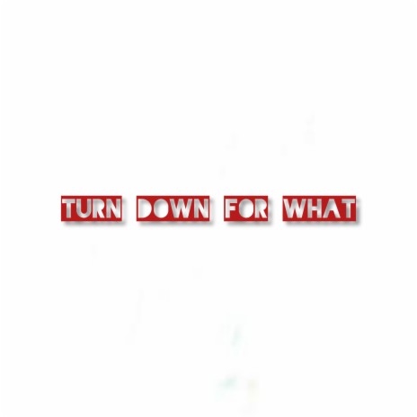 TURN DOWN FOR WHAT | Boomplay Music