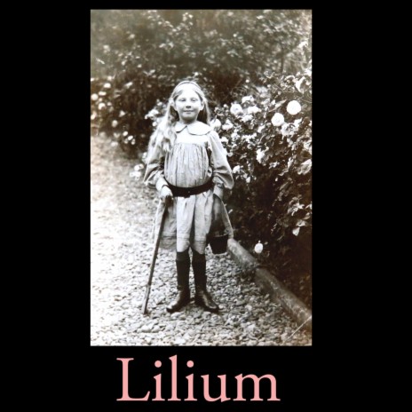 Lilium (plus interlude Night Fairies)