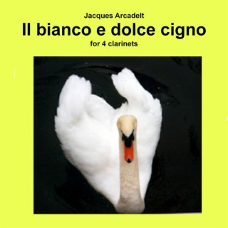 Il bianco e dolce cigno for 4 clarinets