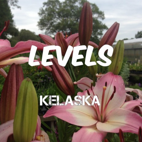 Levels | Boomplay Music